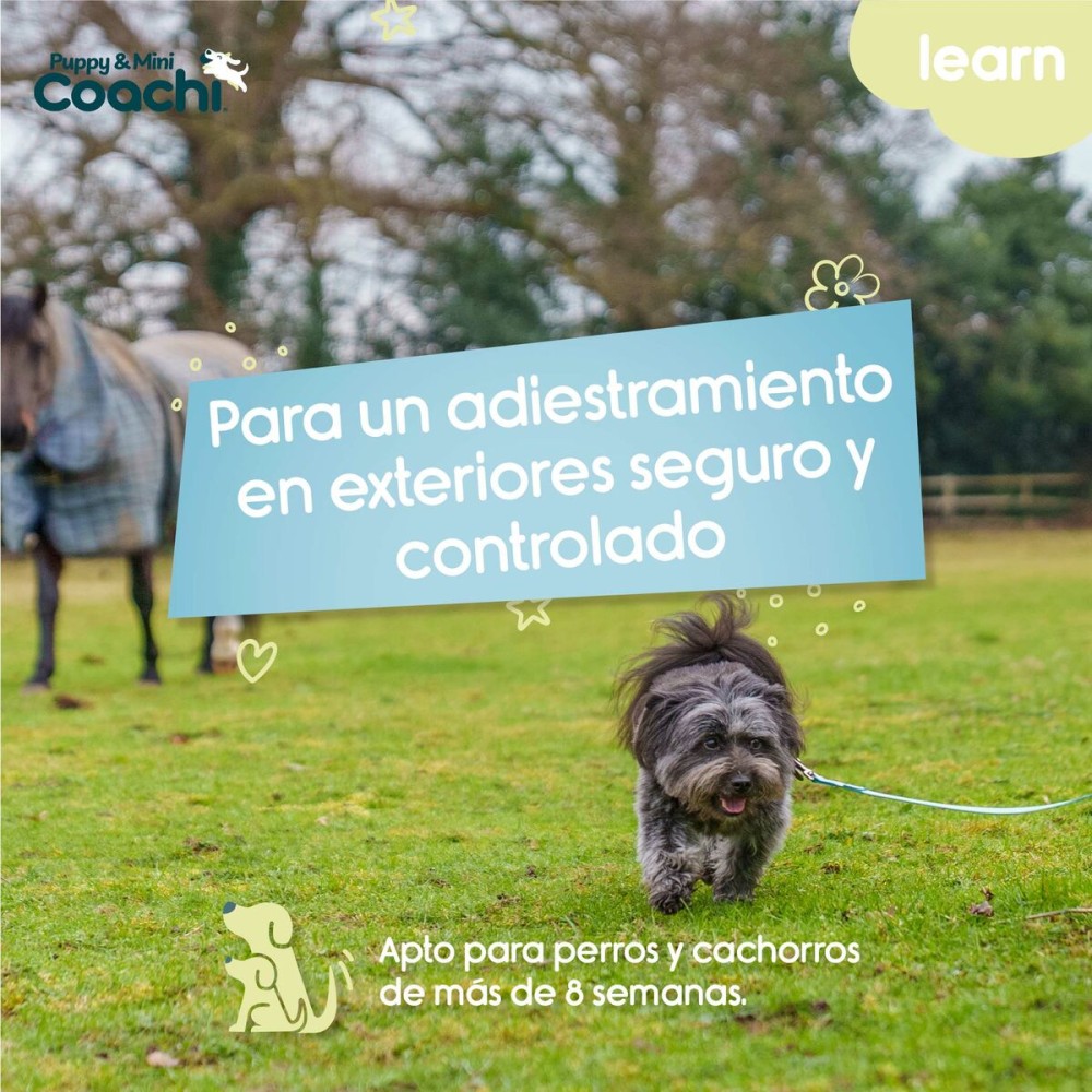Hundegeschirr Coachi