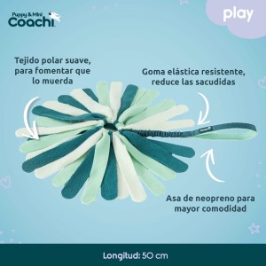 Hundegeschirr Coachi