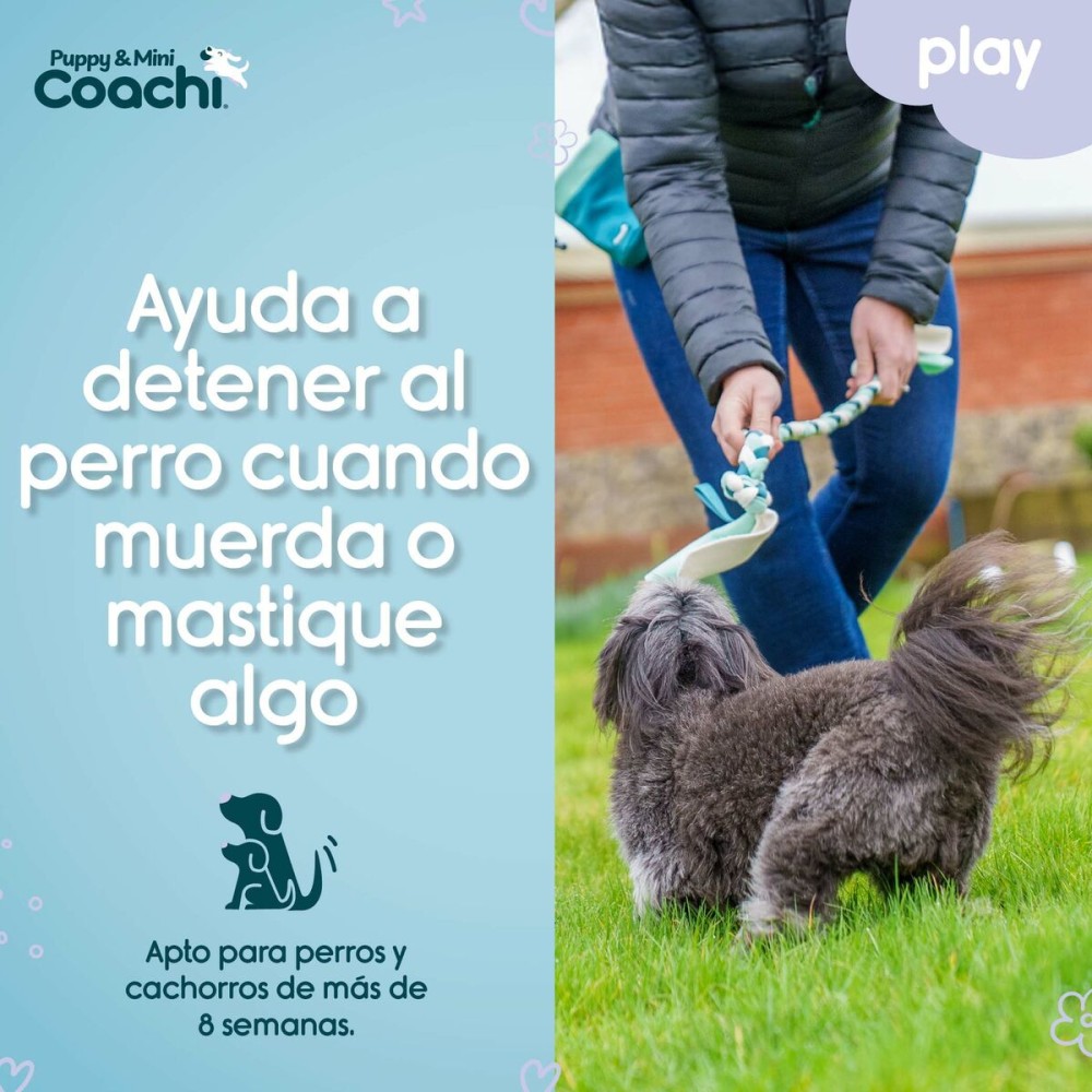 Hundegeschirr Coachi