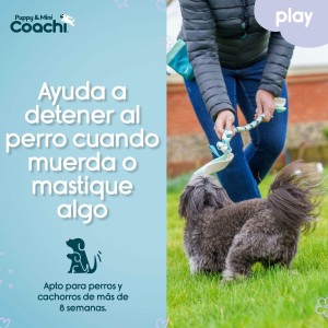 Hundegeschirr Coachi