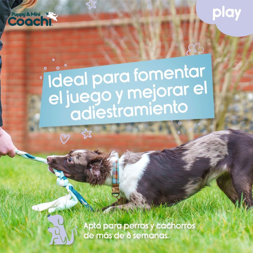 Hundegeschirr Coachi