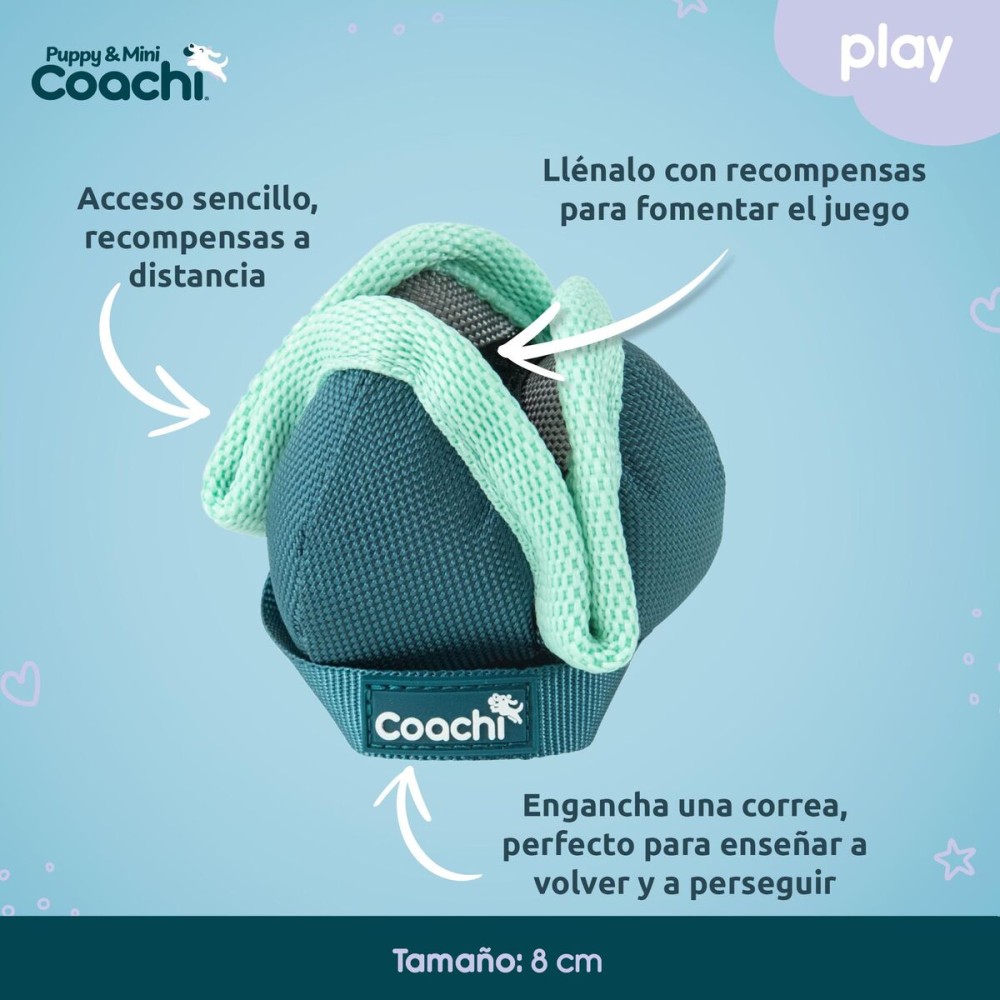 Hundegeschirr Coachi