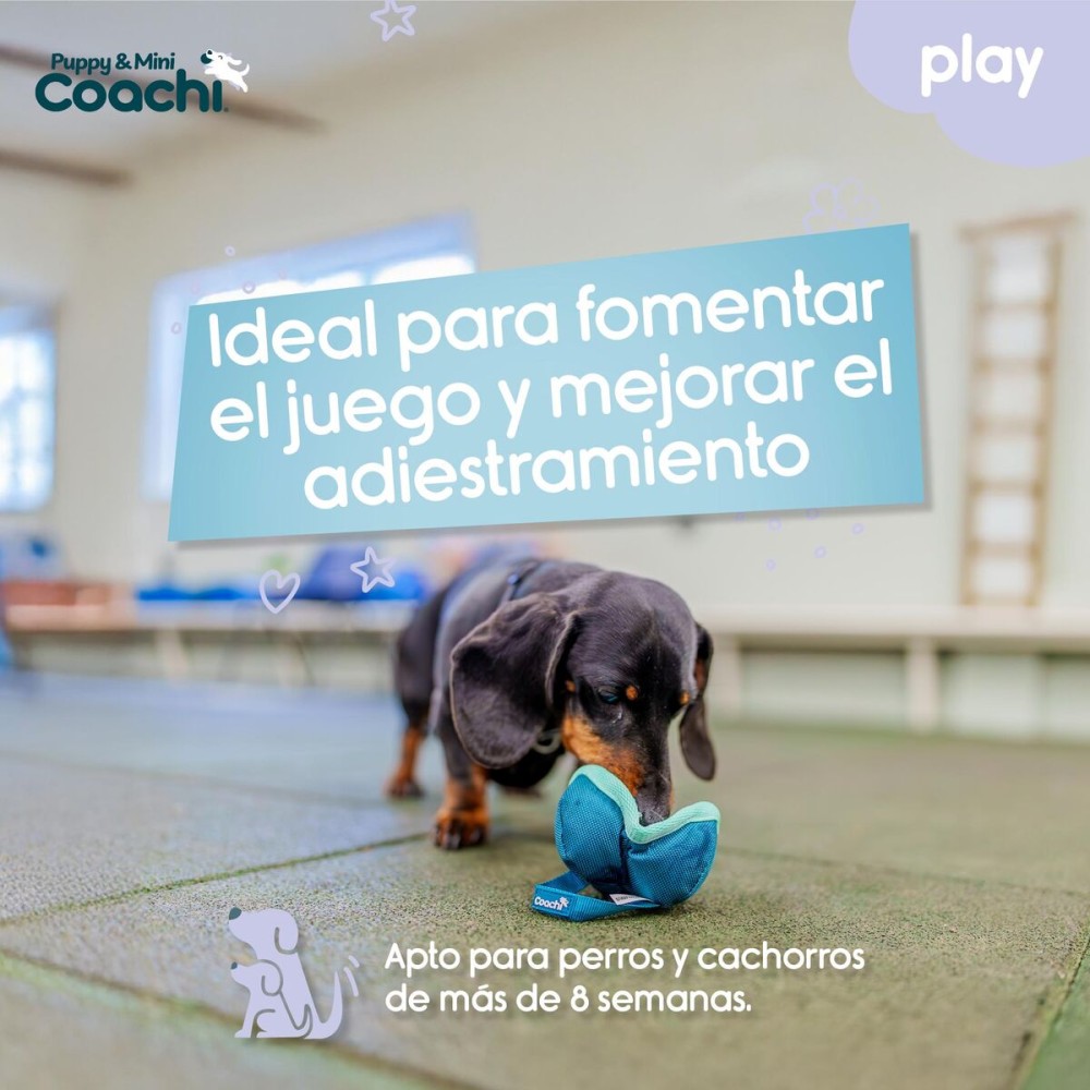 Hundegeschirr Coachi