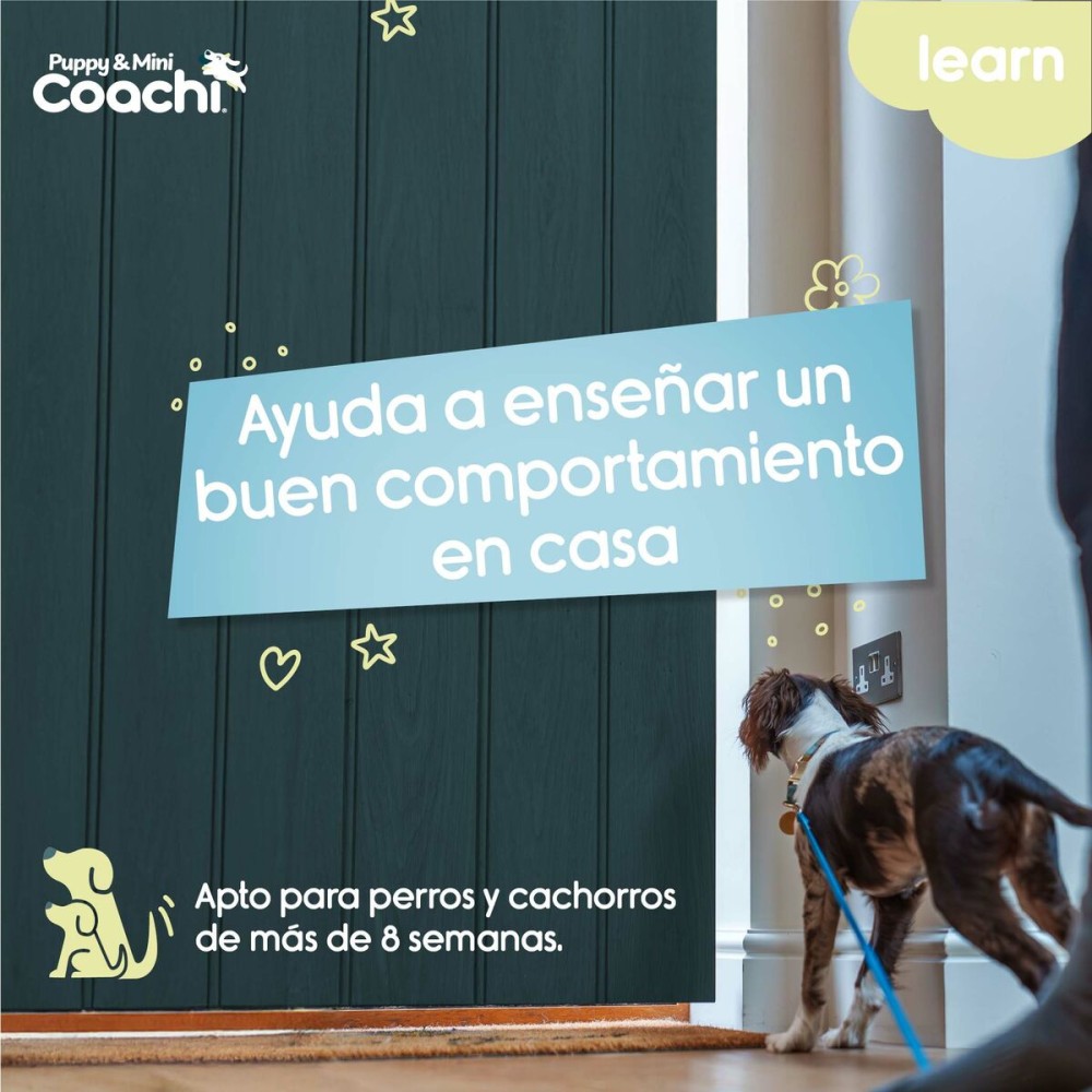 Hundegeschirr Coachi