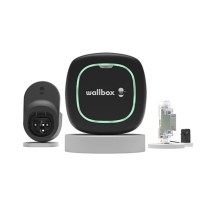 Netzstecker Wallbox