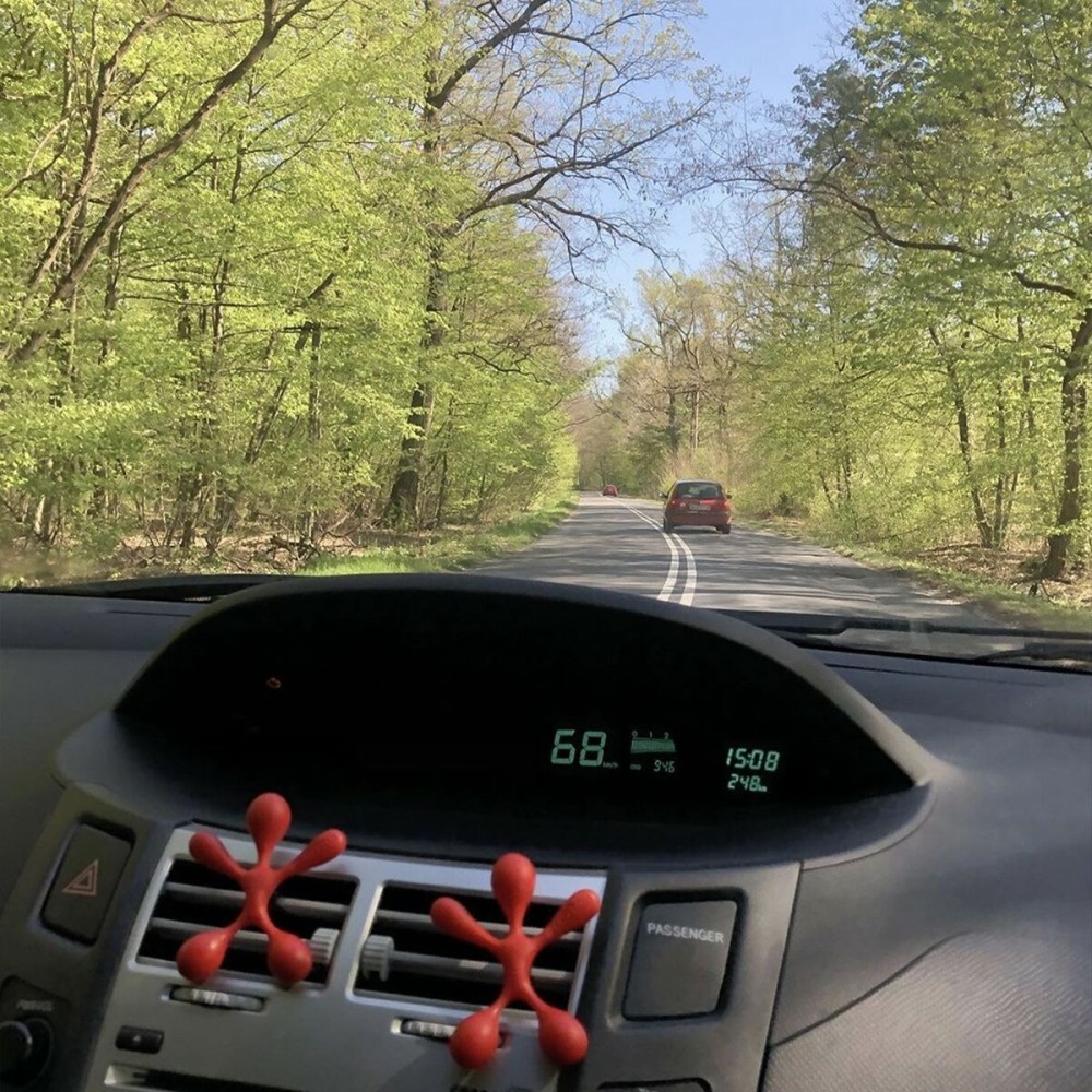 Désodorisant Pour Voiture Dr Marcus Lucky Top Fruits rouges Plastique Pendentif (12 Unités)