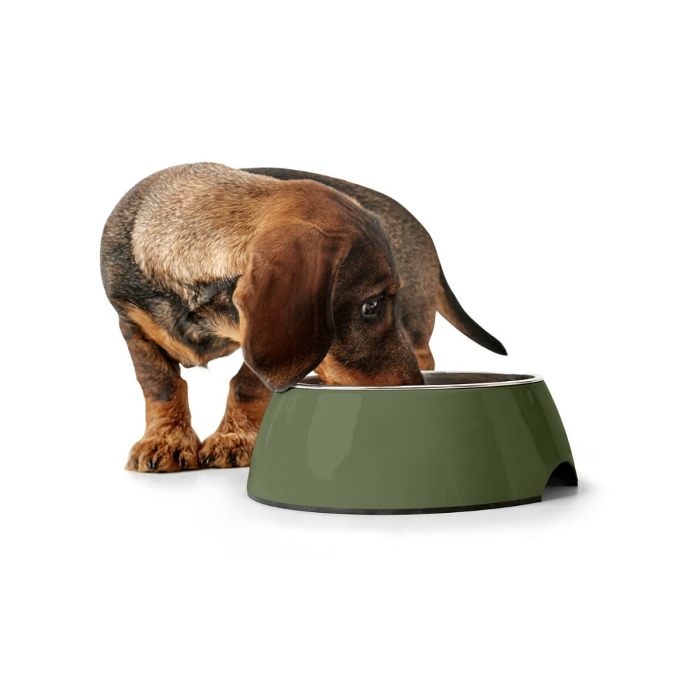 Mangeoire pour chiens Hunter Vert 700 ml