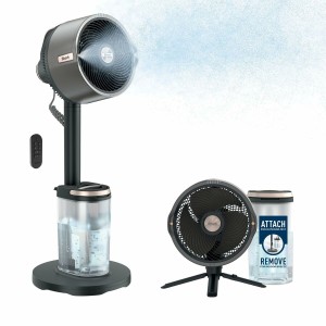 Freestanding Fan Shark FA300EU 36 W