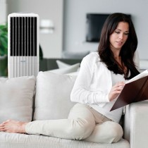 Tragbarer Verdampfungskühler HJM DIET35I 170 W 35 L