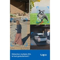 Surveillance Camcorder TP-Link TAPO C520WS
