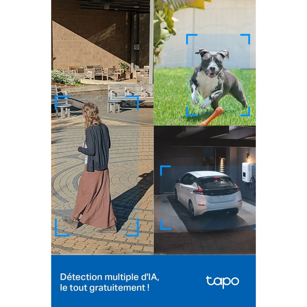 Surveillance Camcorder TP-Link TAPO C520WS