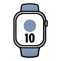 Montre intelligente Apple MWX43QL/A Gris 42 mm