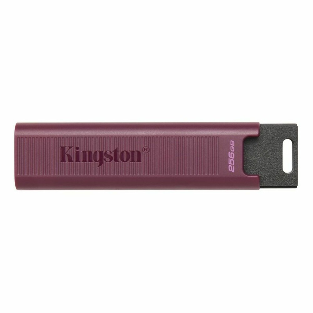 USB Pendrive Kingston Max Rot 256 GB 