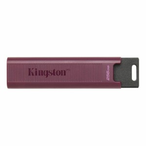 USB Pendrive Kingston Max Rot 256 GB 