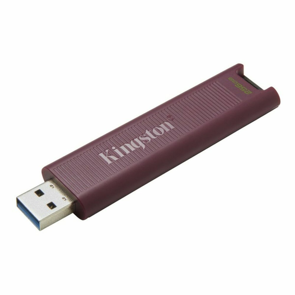 USB Pendrive Kingston Max Rot 256 GB 