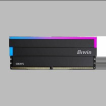 RAM Speicher Biwin DW100 DDR5 6000 MHz 32 GB Schwarz