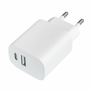 Wall Charger LEOTEC LECSPH20W2W 20 W White