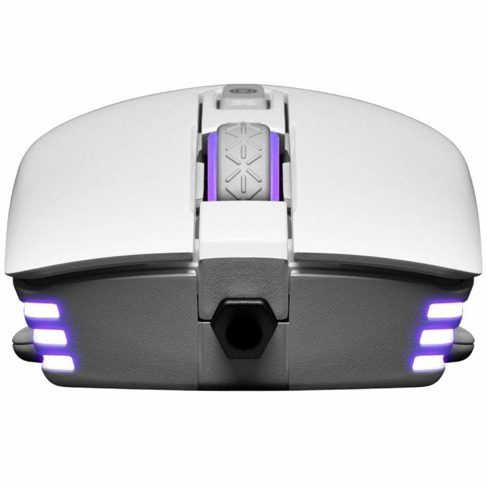 Souris Gaming Evga X12 Blanc