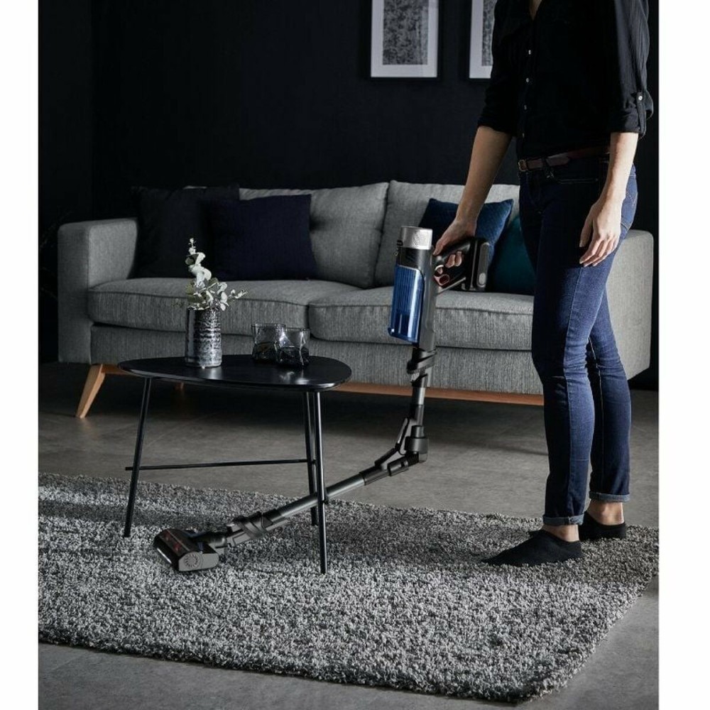 Aspirateur à main Rowenta RH20C1ES