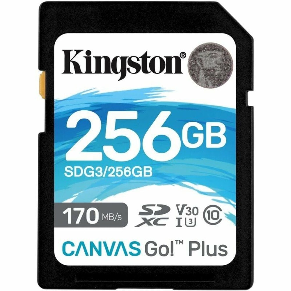 Carte Mémoire SDXC Kingston Canvas Go! Plus 256 GB