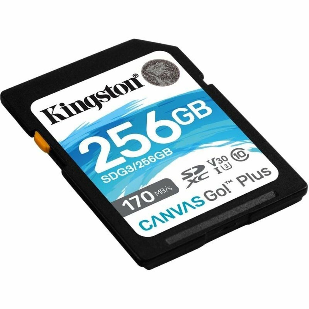 Carte Mémoire SDXC Kingston Canvas Go! Plus 256 GB