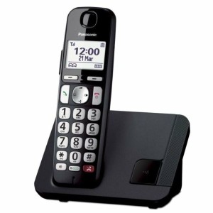 Wireless Phone Panasonic KX-TGE250SPB