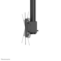 Support de table d'écran Neomounts CL35-340BL12 50 kg 23"-42"