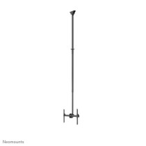 Support de table d'écran Neomounts CL35-440BL16XL 70" 37" 50 kg