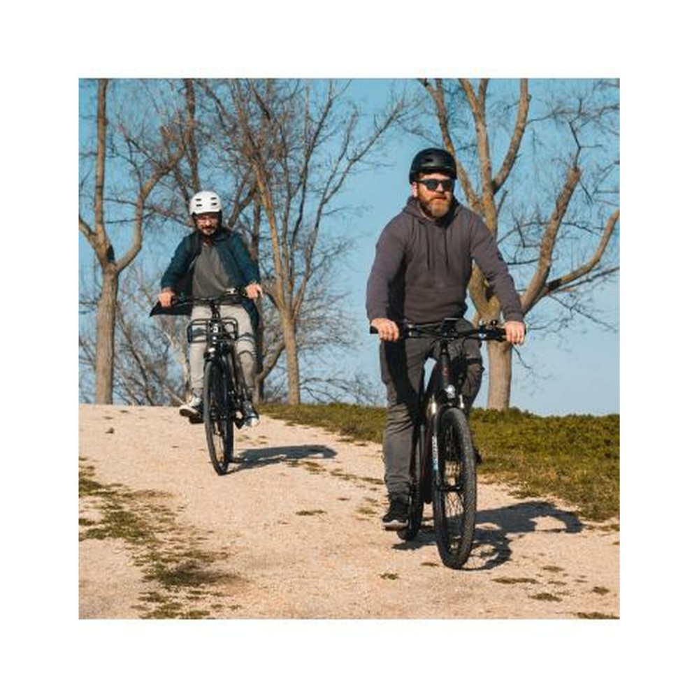 Elektrisches Fahrrad Smartgyro SG27-372 Grau Titan 250 W