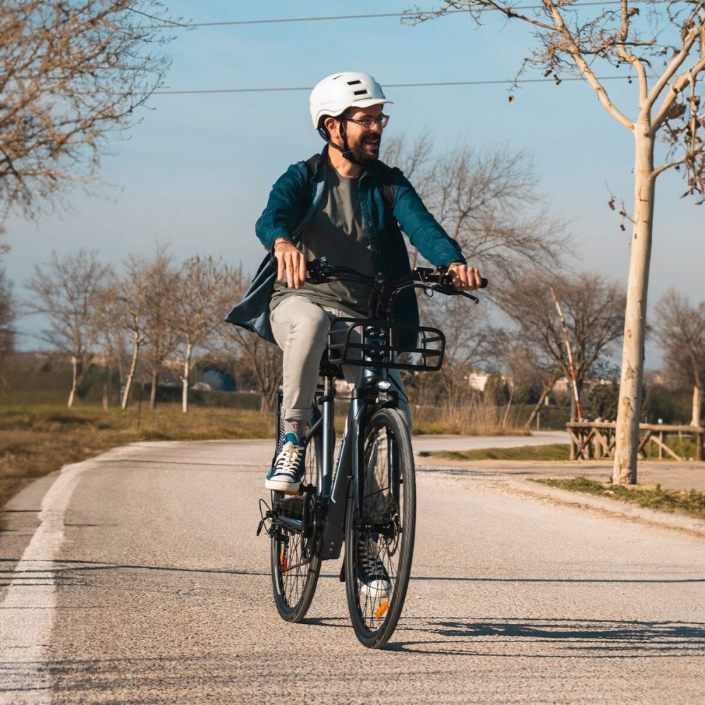 Elektrisches Fahrrad Smartgyro SG27-372 Grau Titan 250 W
