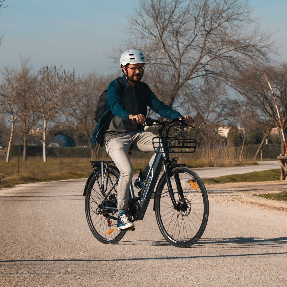 Elektrisches Fahrrad Smartgyro SG27-372 Grau Titan 250 W
