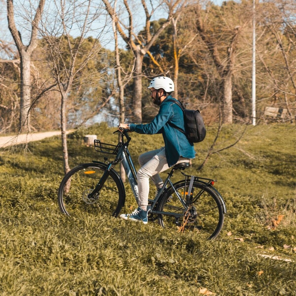 Elektrisches Fahrrad Smartgyro SG27-372 Grau Titan 250 W