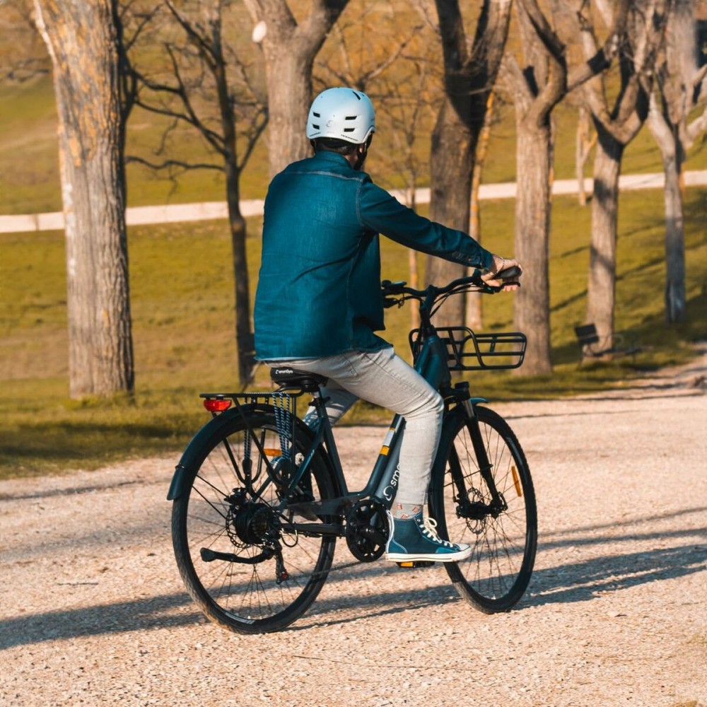 Elektrisches Fahrrad Smartgyro SG27-372 Grau Titan 250 W