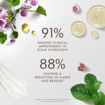 Conditioner Moroccanoil
