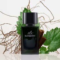 Men's Perfume Burberry Mr. Burberry 100 ml