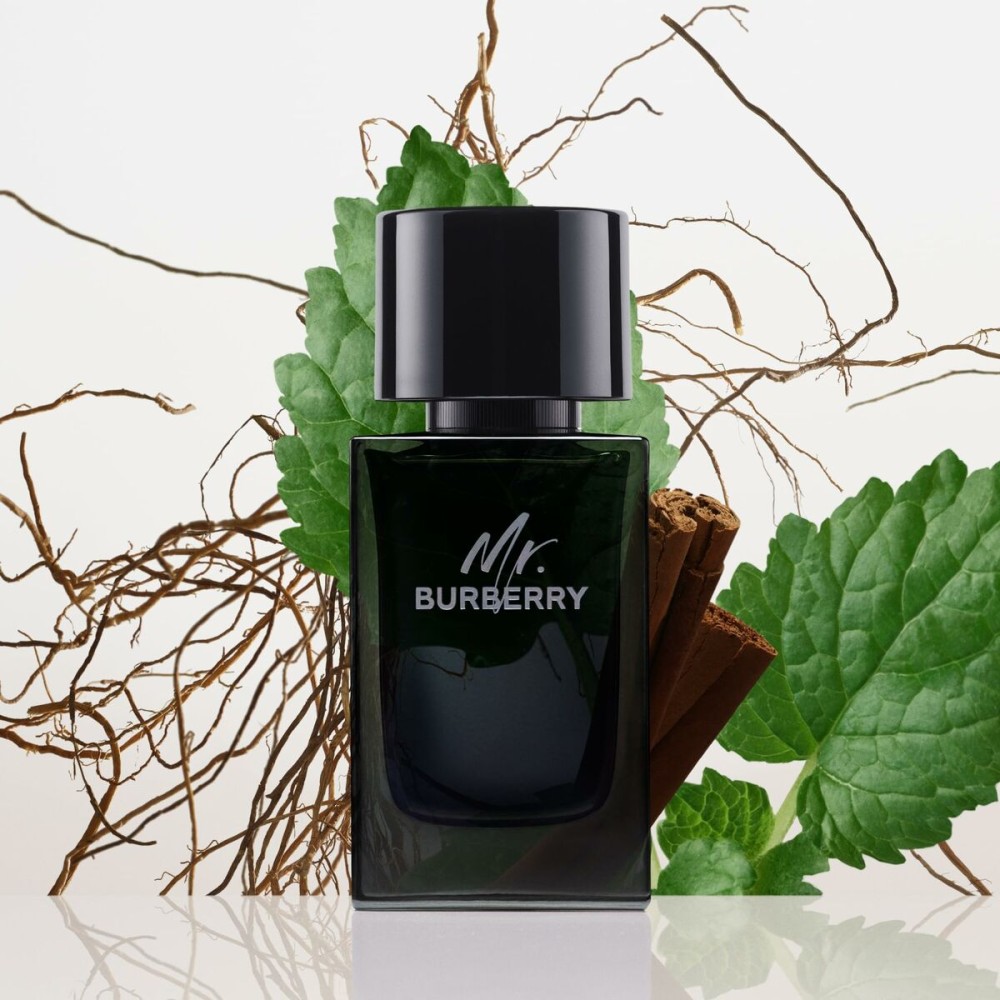 Men's Perfume Burberry Mr. Burberry 100 ml