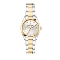 Ladies' Watch Lucien Rochat R0453114512 Silver (Ø 32 mm)