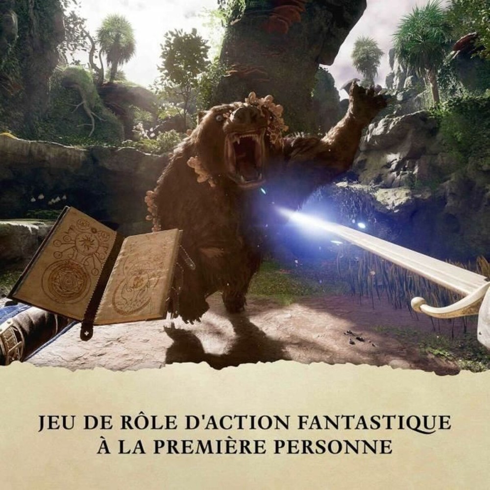 Jeu vidéo Xbox Series X Microsoft Avowed Premium Edition SteelBook