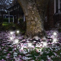 Solarlampe Lumisky Alesia LED Silberfarben Edelstahl Kaltweiß (8 Stück)