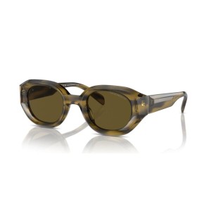 Men's Sunglasses Emporio Armani EA 4230U