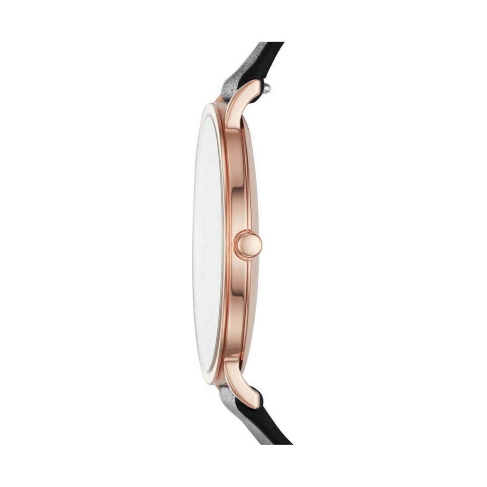 Montre Homme Skagen HAGEN