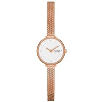 Damenuhr Skagen GITTE LILLE (Ø 22 mm)