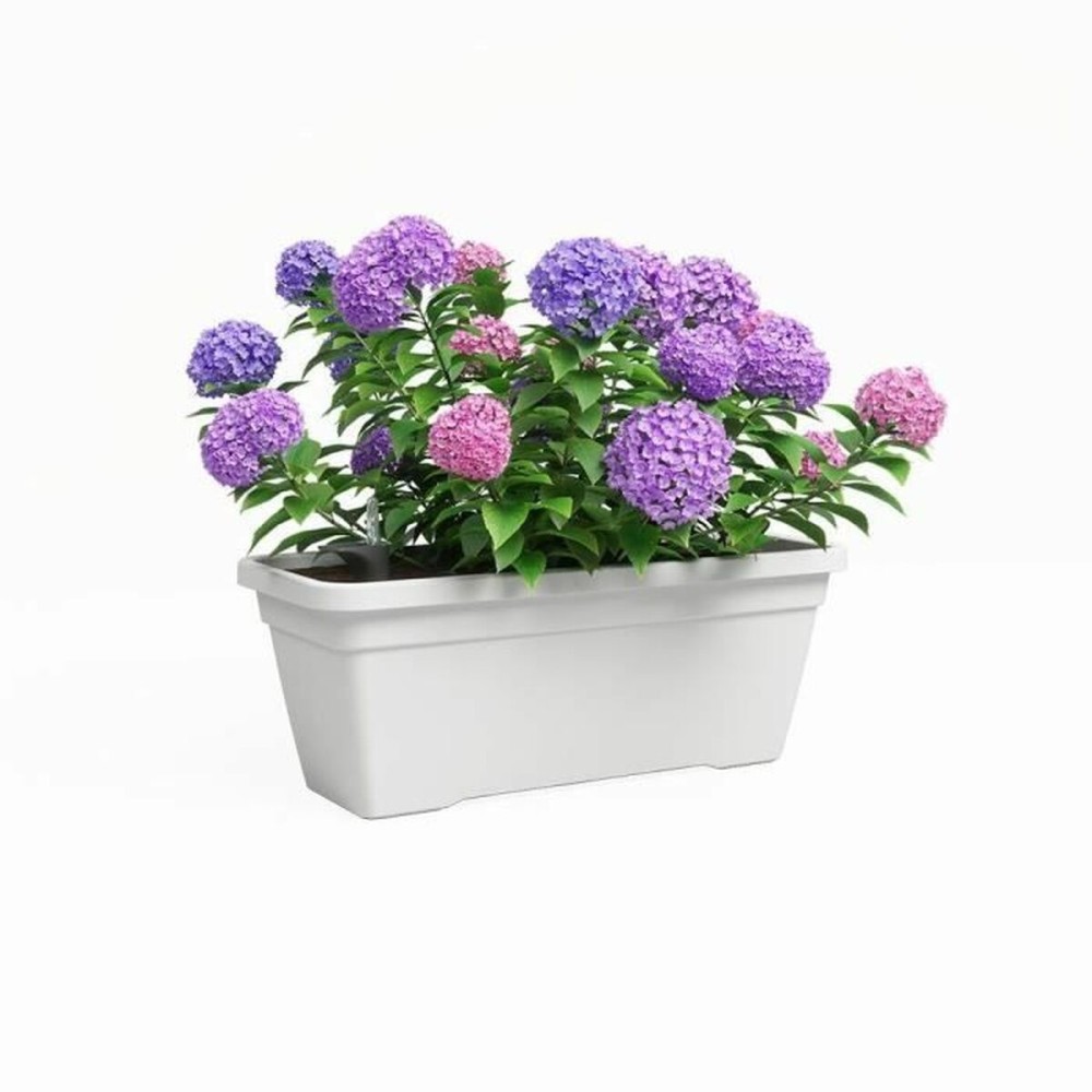 Blumentopf Artevasi VENEZIA L SWS Weiß