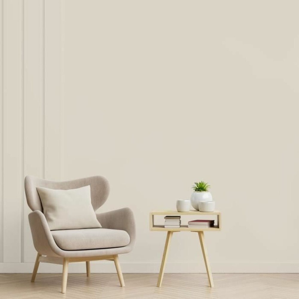 Primer Paint Ripolin Beige Matt 2,5 L