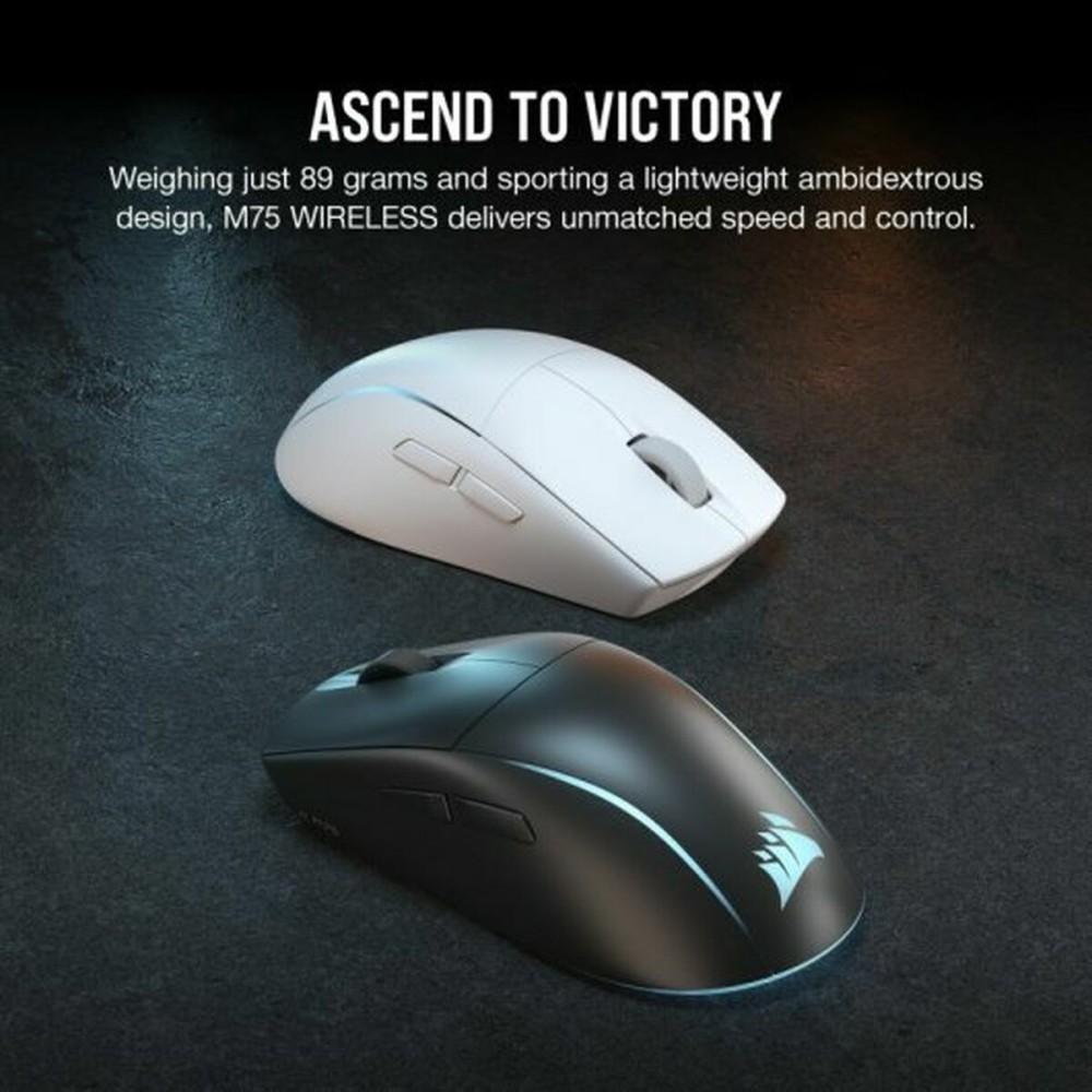 Souris Corsair M75
