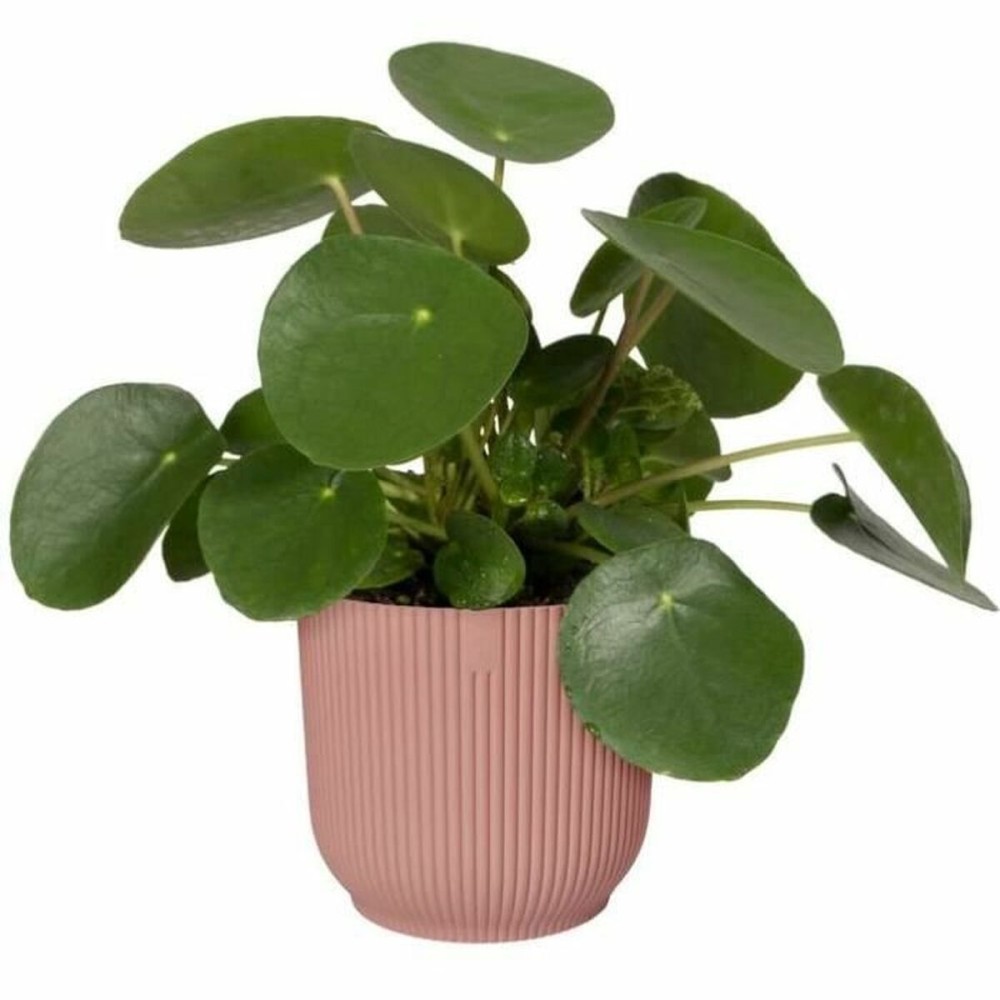 Plant pot Elho Ø 30 cm Plastic