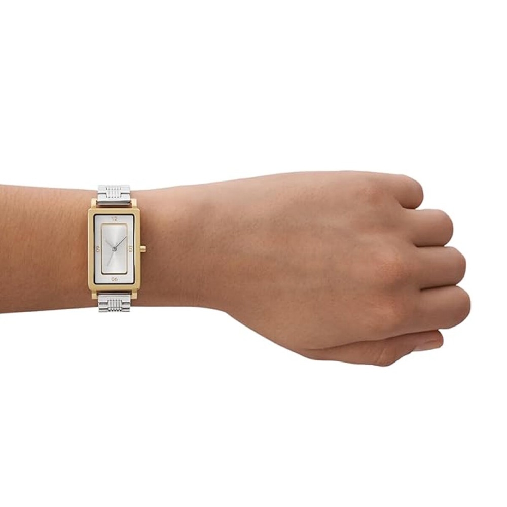 Montre Femme Skagen SKL2006 Argenté