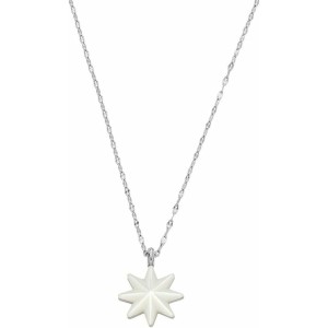 Pendentif Femme Skagen SKJ1776040 Argenté
