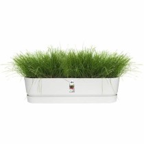 Blumenkasten Elho Weiß 70 cm Kunststoff