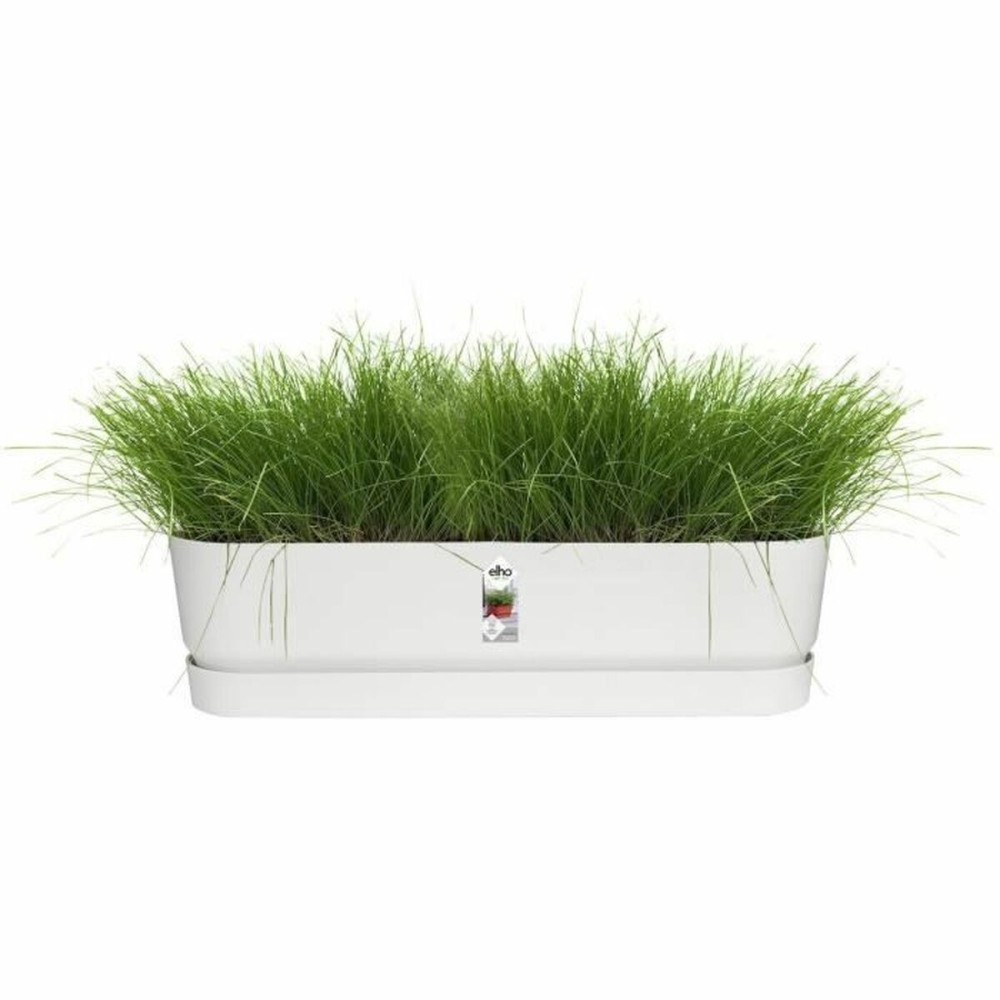 Blumenkasten Elho Weiß 70 cm Kunststoff